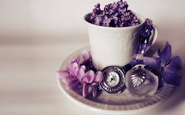 wallpaper-lavender-photo-05